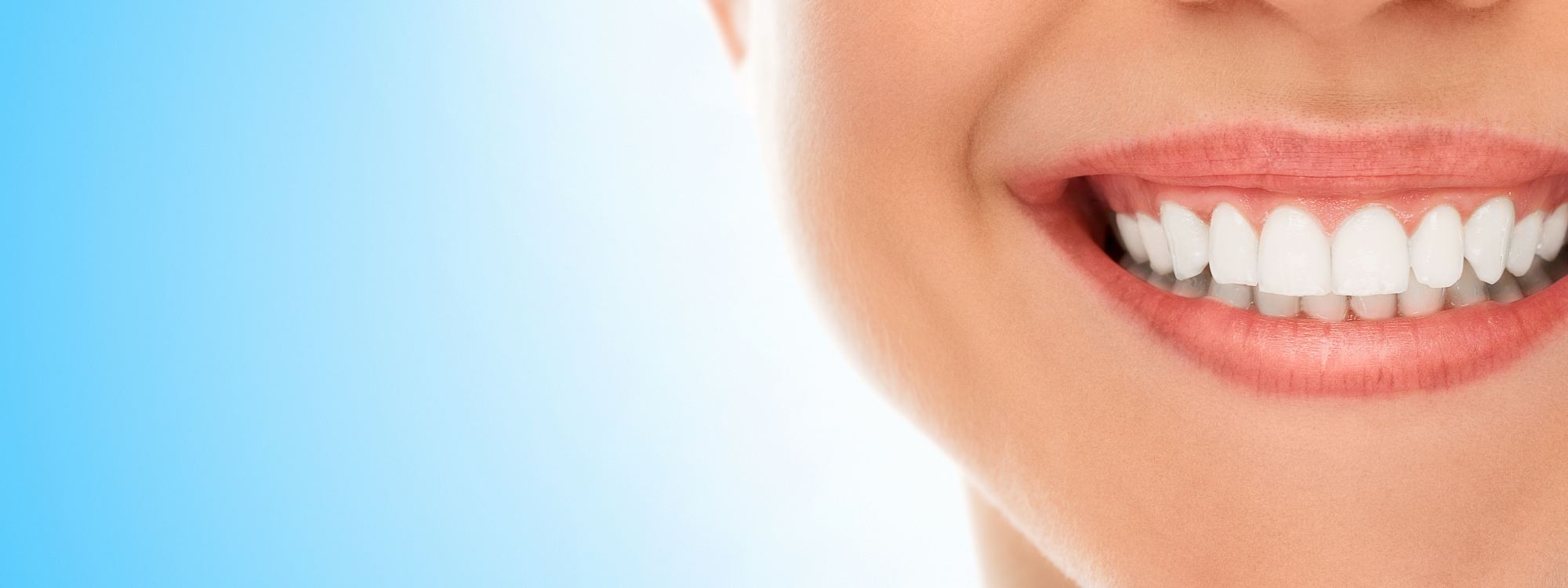 Dental Model